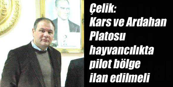 Çelik: Kars ve Ardahan Platosu hayvancılıkta pilot bölge ilan edilmeli