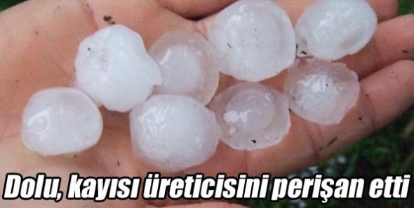 Dolu, kayısı üreticisini perişan etti