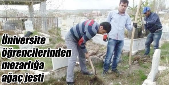 Üniversite öğrencilerinden mezarlığa ağaç jesti