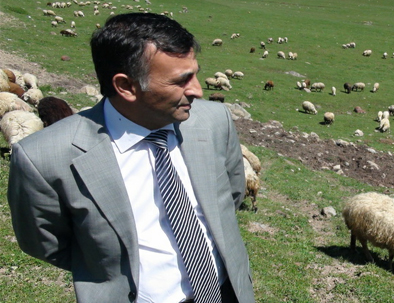 Koyunculukta Sevindiren Tablo