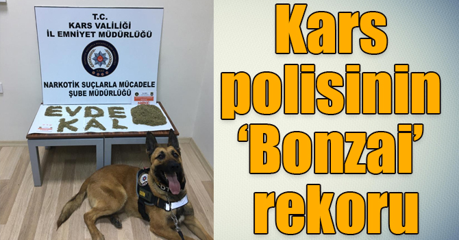 Kars polisinin ‘Bonzai’ rekoru