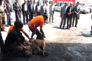 Arpaçay’da  AVM Hizmete Açıldı