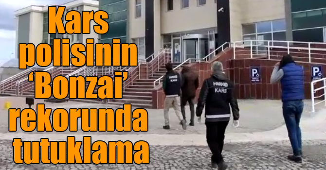 Kars polisinin ‘Bonzai’ rekorunda tutuklama