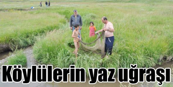 Köylülerin yaz uğraşı
