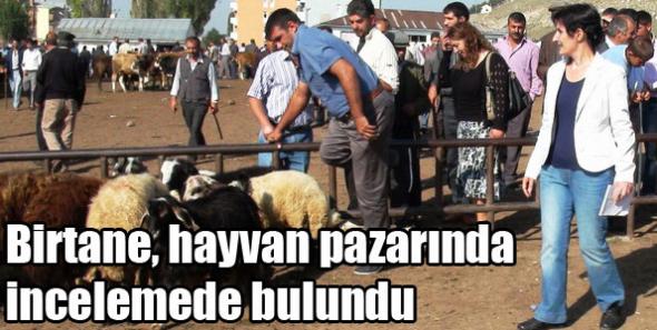 Birtane, hayvan pazarında incelemede bulundu