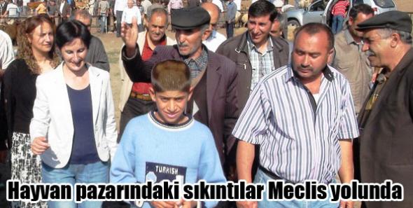 Hayvan pazarındaki sıkıntılar Meclis yolunda