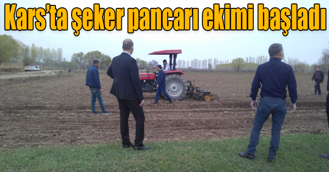 Kars’ta şeker pancarı ekimi başladı