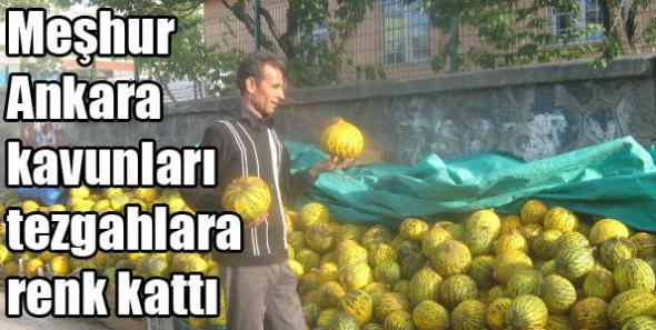 Meşhur Ankara kavunları tezgahlara renk kattı