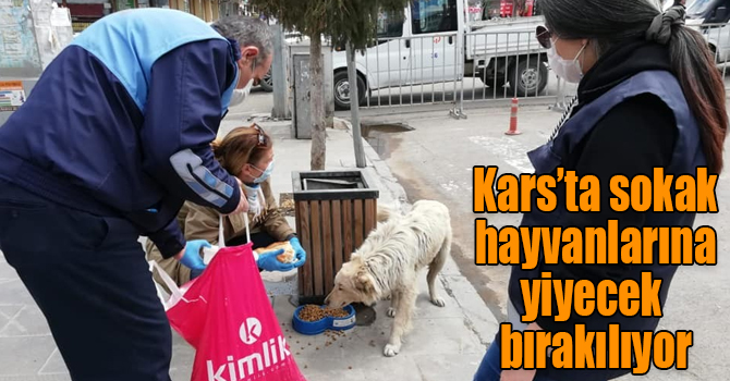 Kars’ta sokak hayvanlarına yiyecek bırakılıyor