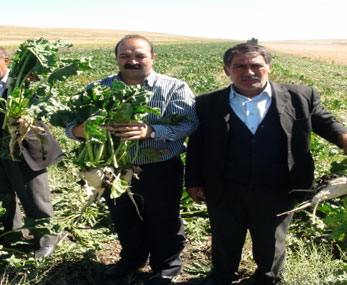 Kars'ta Çiftçi Rahatladı