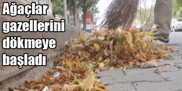 Ağaçlar gazellerini dökmeye başladı