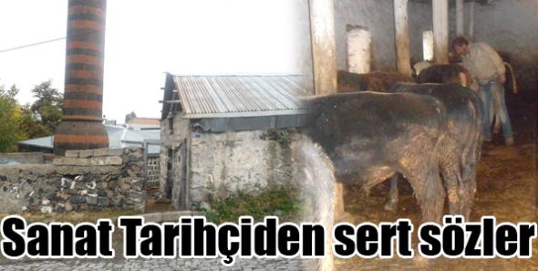 Sanat Tarihçiden sert sözler