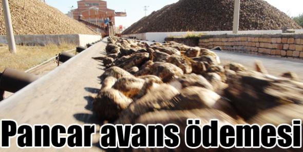 Pancar avans ödemesi