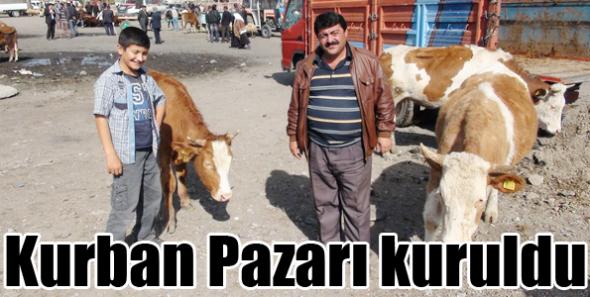 Kurban Pazarı kuruldu