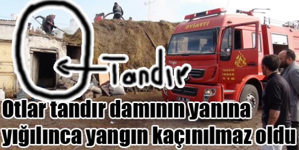 Ev'de Ot Yangını!
