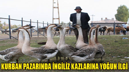 Kars'ta İngiliz Kazı!