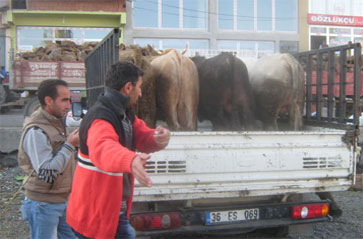 Kars'ta Bayram Öncesi Hazırlıklar