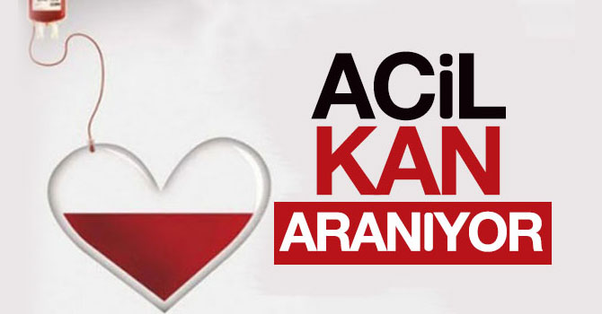 Kars'ta acil kan aranıyor