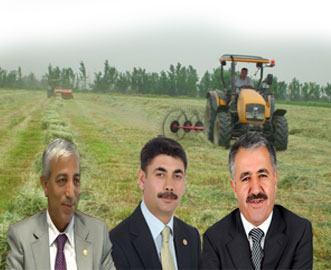 Gürcistan'dan Ot Girişi Başladı