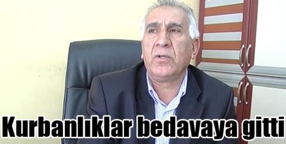 Kurbanlıklar bedavaya gitti
