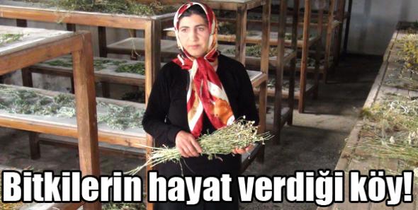 Bitkilerin hayat verdiği köy!