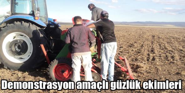 Demonstrasyon amaçlı güzlük ekimleri