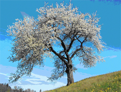 Kars’ta nevruz kutlamalarında gerginlik