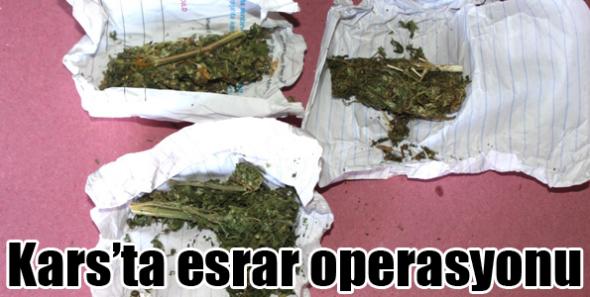 Kars’ta esrar operasyonu