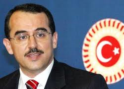 Ergin'den tutuklu gazeteciler açıklaması