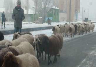 Kars'ta Hava -27 Derece
