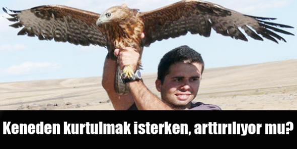 Keneden kurtulmak isterken, arttırılıyor mu?
