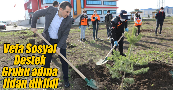 Vefa Sosyal Destek Grubu adına fidan dikildi