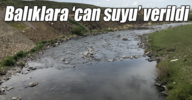 Kars Barajı’ndan balıklara ‘can suyu’ verildi