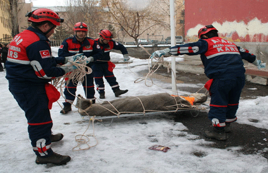 Kars'ta Nefes Kesen Tatbikat