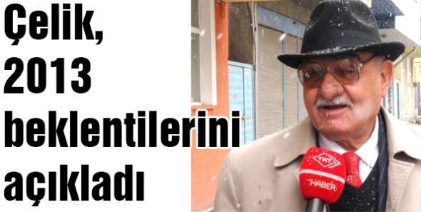 Çelik, 2013 beklentilerini açıkladı