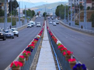 Bingöl'ün çehresi 150 bin çiçekle değişti