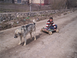 ÇOCUKLARIN ARABASINI KÖPEK ÇEKİYOR