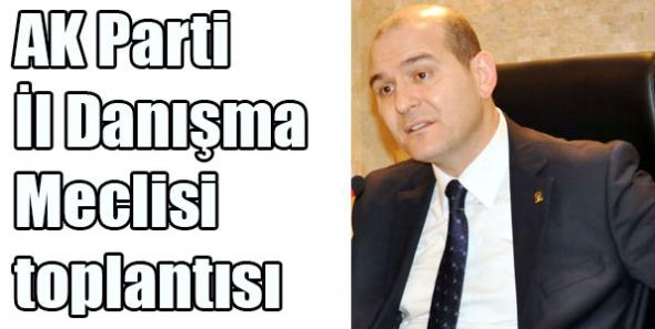 AK Parti İl Danışma Meclisi toplantısı
