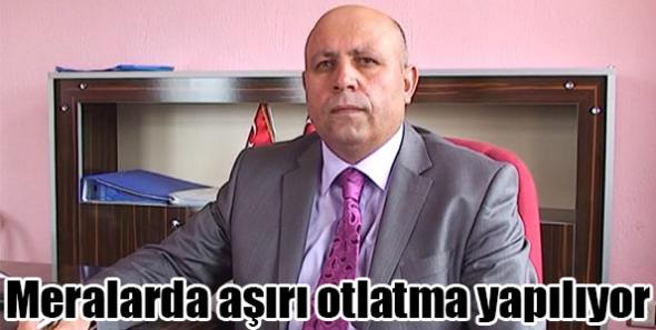 Meralarda aşırı otlatma yapılıyor
