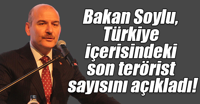 Bakan Soylu, Türkiye içerisindeki son terörist sayısını açıkladı!