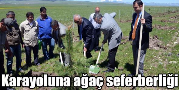 Karayoluna ağaç seferberliği