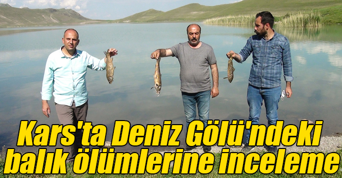 Kars'ta Deniz Gölü'ndeki balık ölümlerine inceleme