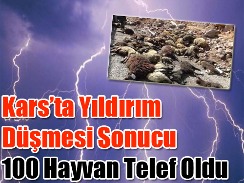 Yücelen’e yıldırım düştü 100’ün üzerinde hayvan telef oldu