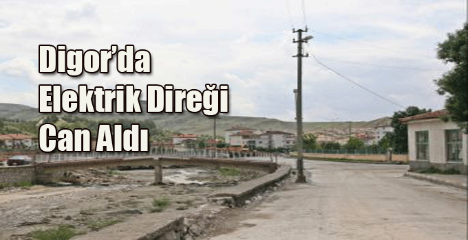Digor'da Elektrik Direğinden Düşen Bir Kişi Hayatını Kaybetti