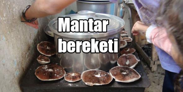 Yağmurların Ardından Mantar Bereketi