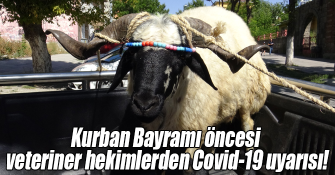 Kurban Bayramı öncesi veteriner hekimlerden Covid-19 uyarısı!