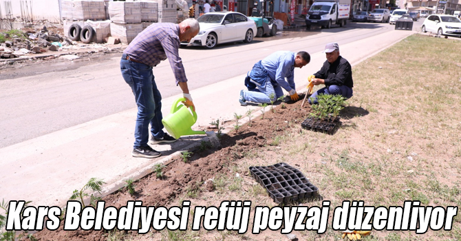 Kars Belediyesi refüj peyzaj düzenliyor