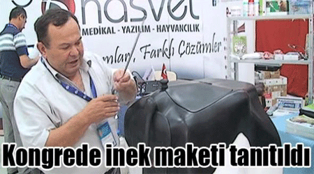 Kongrede İnek Maketi Tanıtıldı