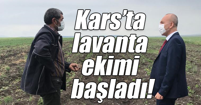 Kars’ta lavanta ekimi başladı!