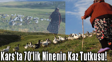 Kars'ta 70'lik Ninenin Kaz Tutkusu!